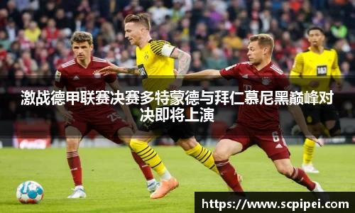 K1体育